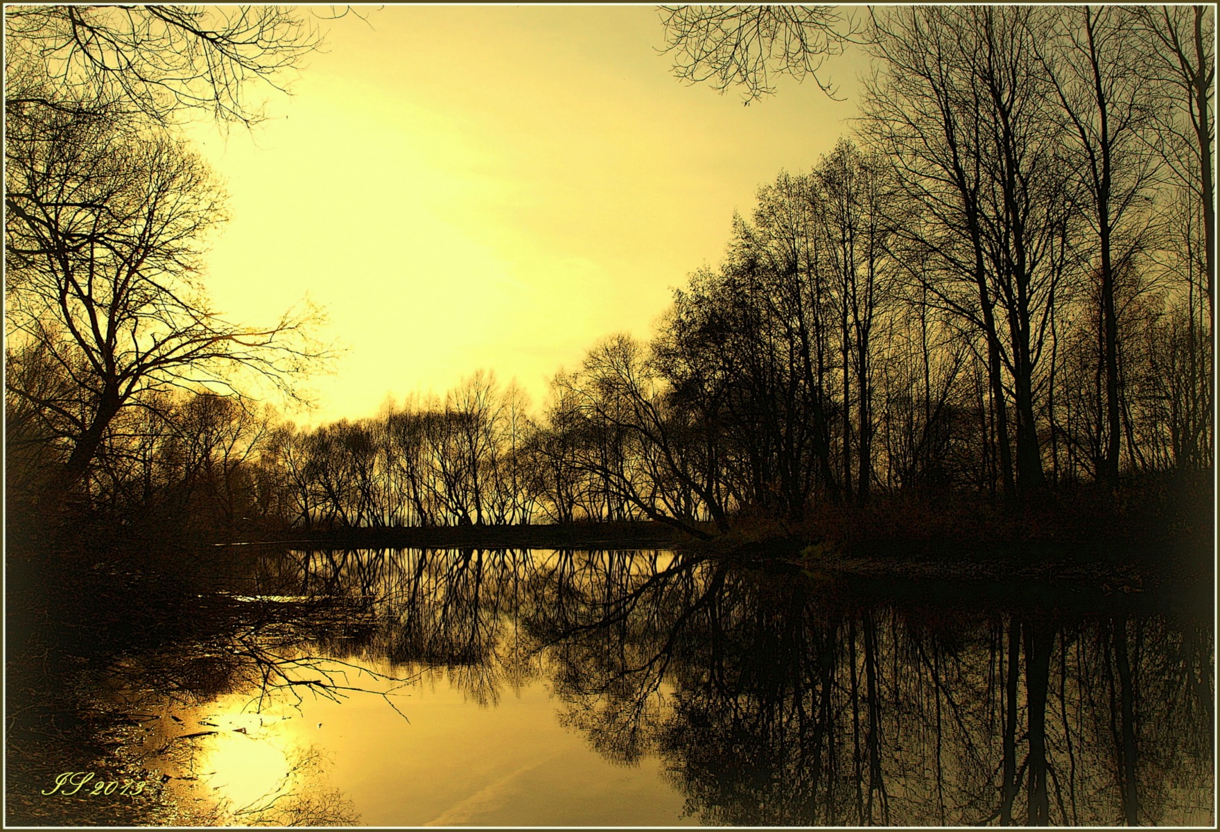 деревья, солнце и пруд | Фотограф Игорь Сафонов | foto.by фото.бай