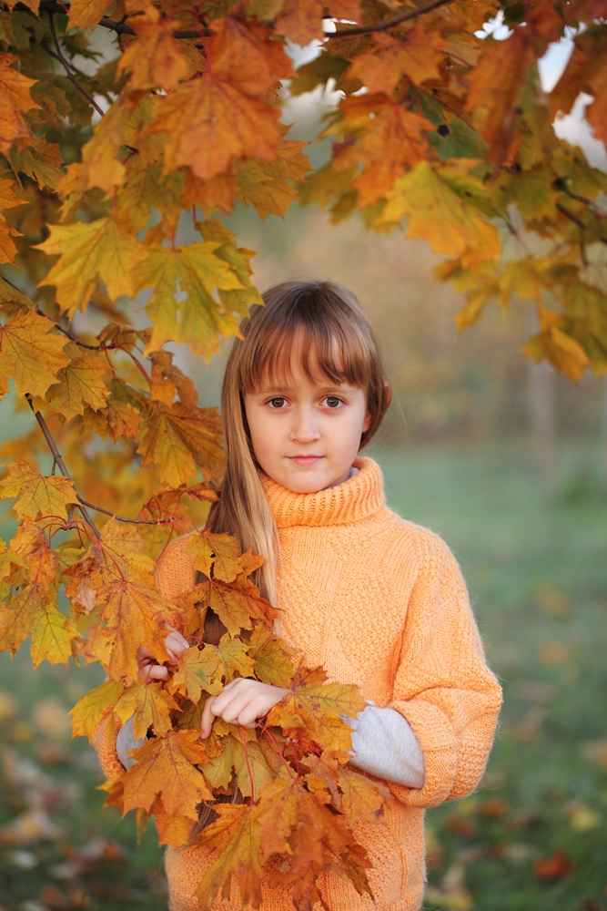 Золотая осень... | Фотограф Надежда Пахомова | foto.by фото.бай