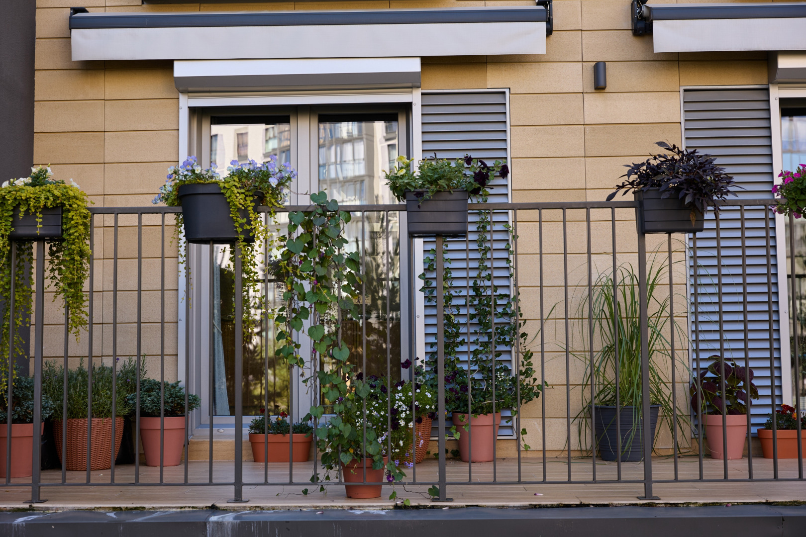 Фотограф Илья и Юлия Ширмановы, фотография от 17.12.2025