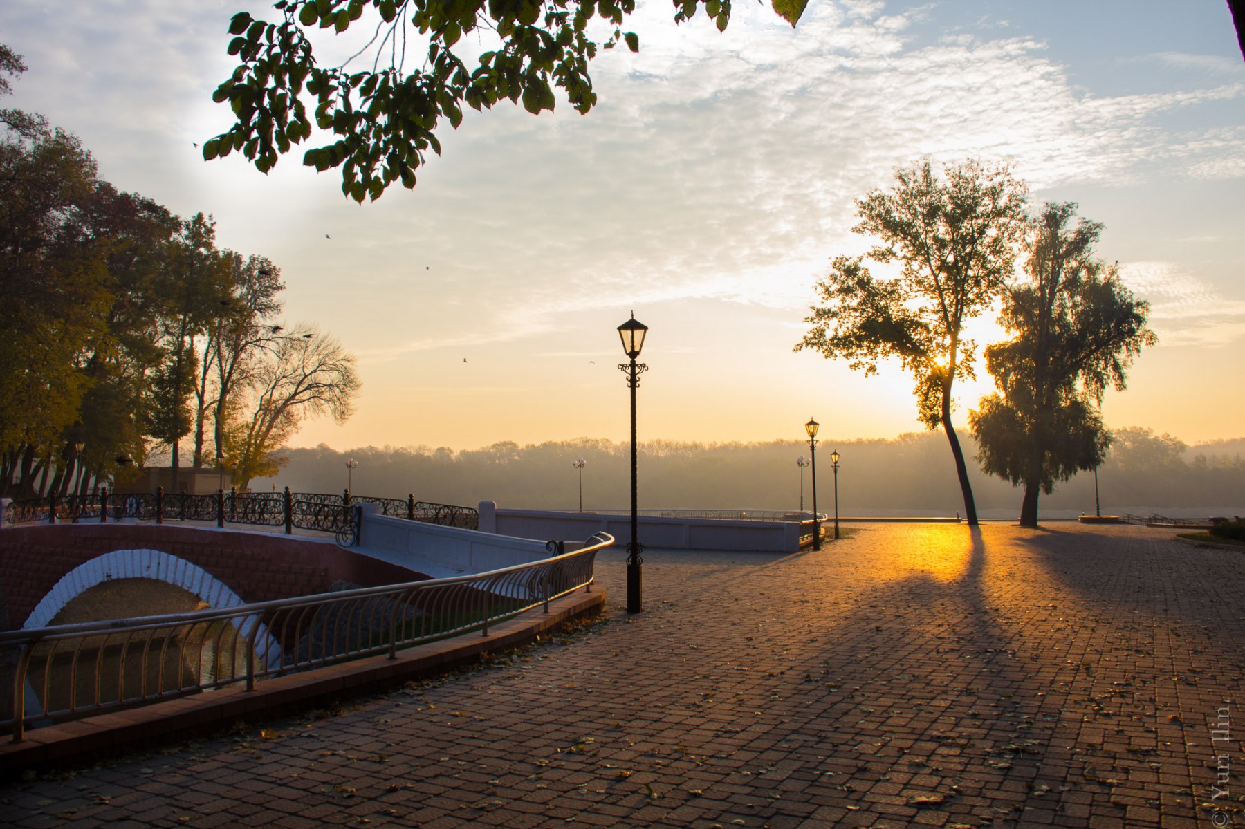 Утро в парке | Фотограф Юрий Ильин | foto.by фото.бай