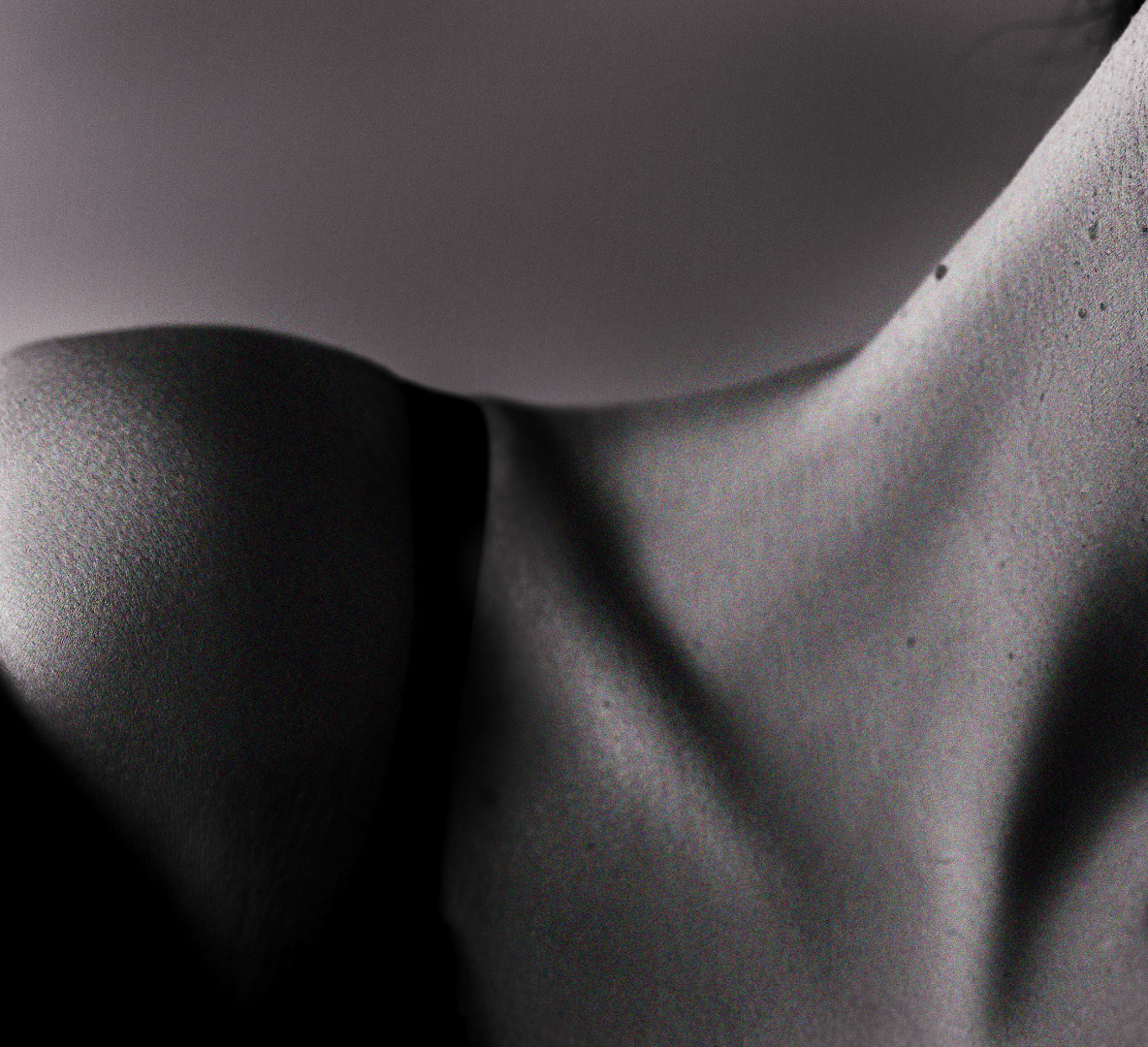 Фотограф Елена Бородина, фотография от 26.10.2025