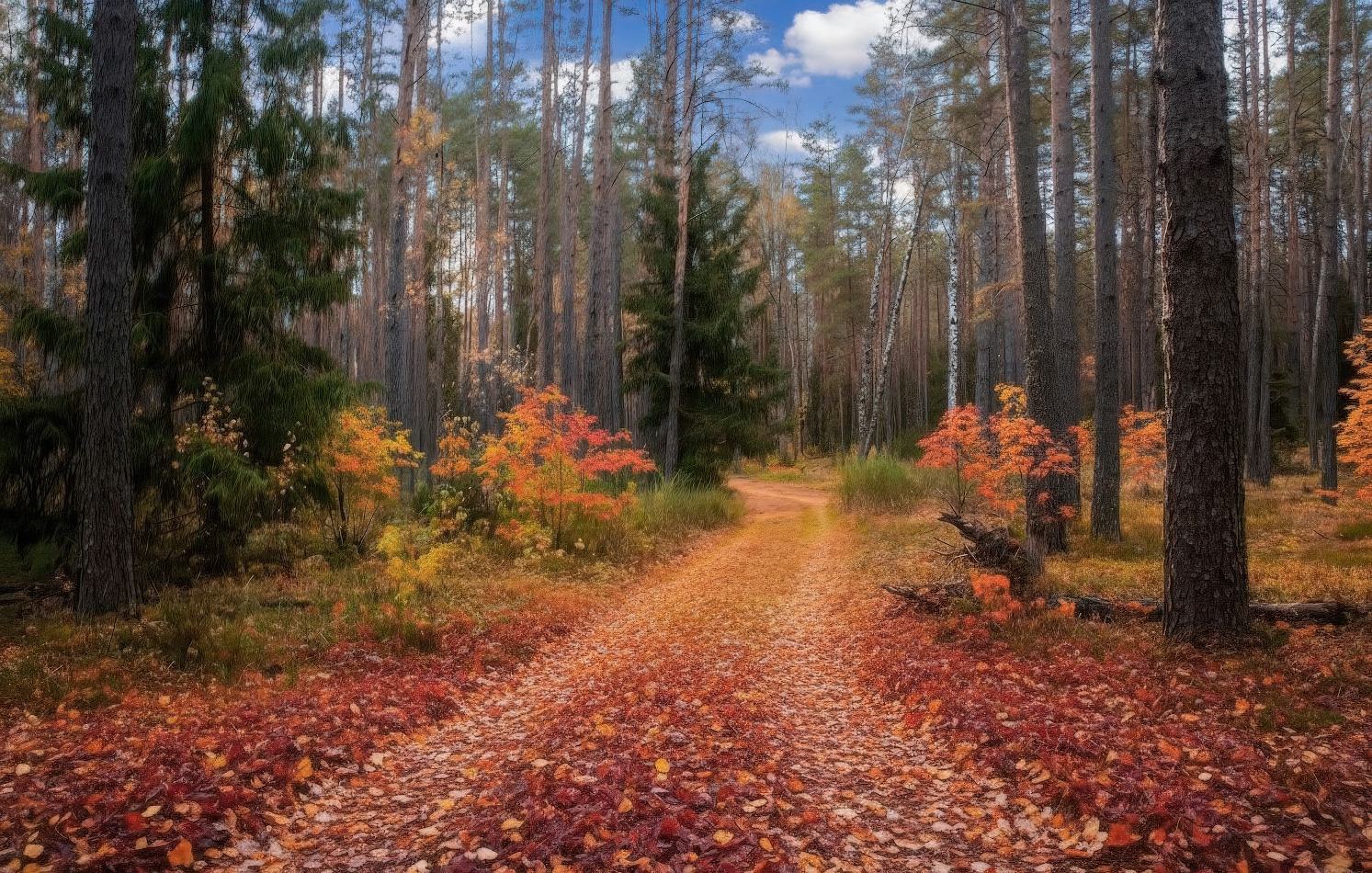 Осень | Фотограф Сергей Шабуневич | foto.by фото.бай