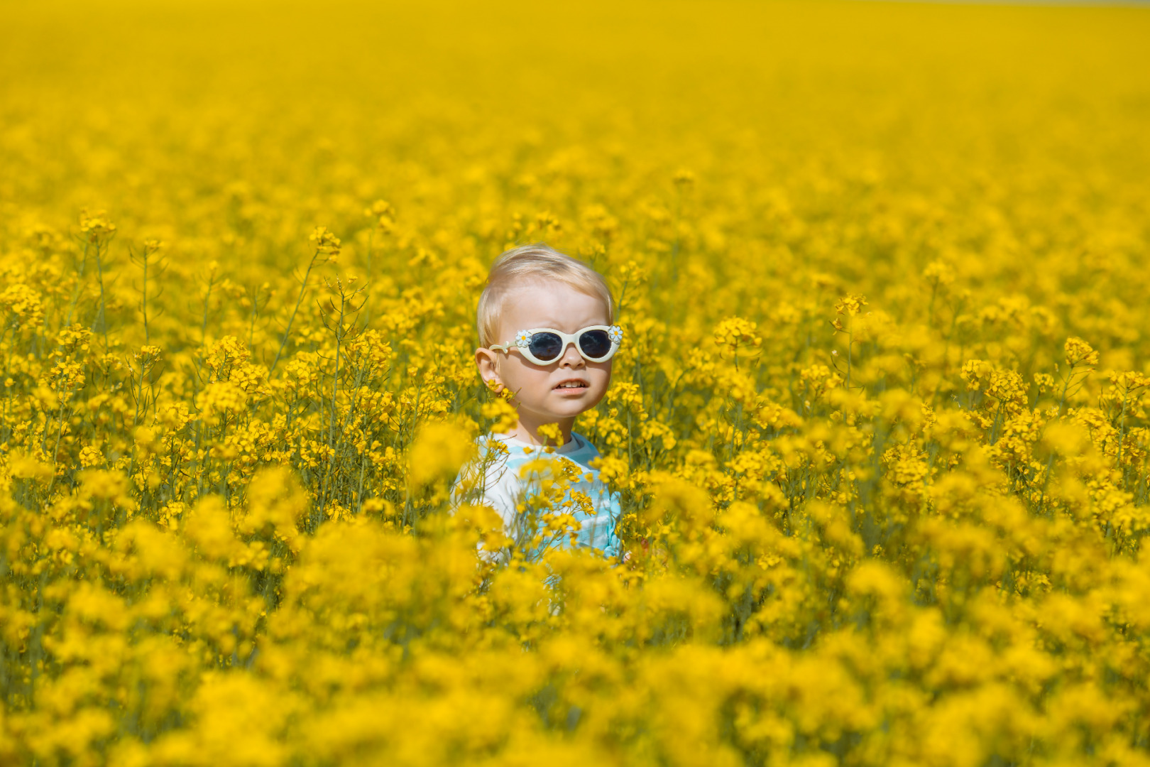 Фотограф Ирина Карпенко. Съёмки для каталога, рекламные съёмки. Модельные тесты. Выпускные альбомы. Интерьерная съёмка. Фотосессии под ключ., фотография от 29.05.2020