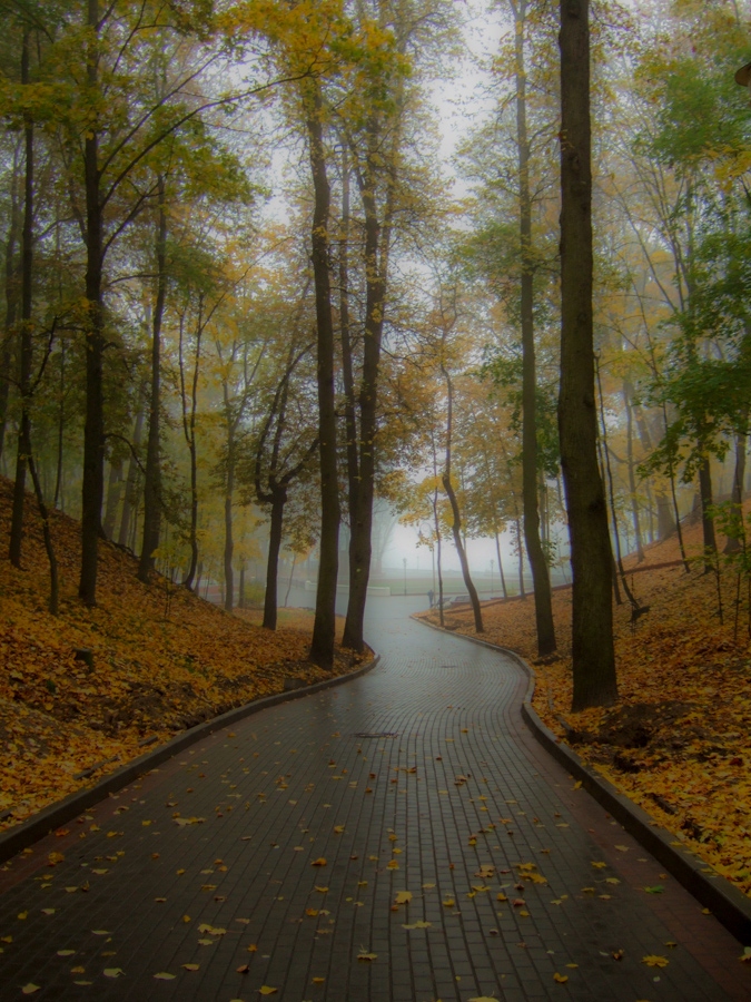 Осенний парк | Фотограф Виктор Позняков | foto.by фото.бай