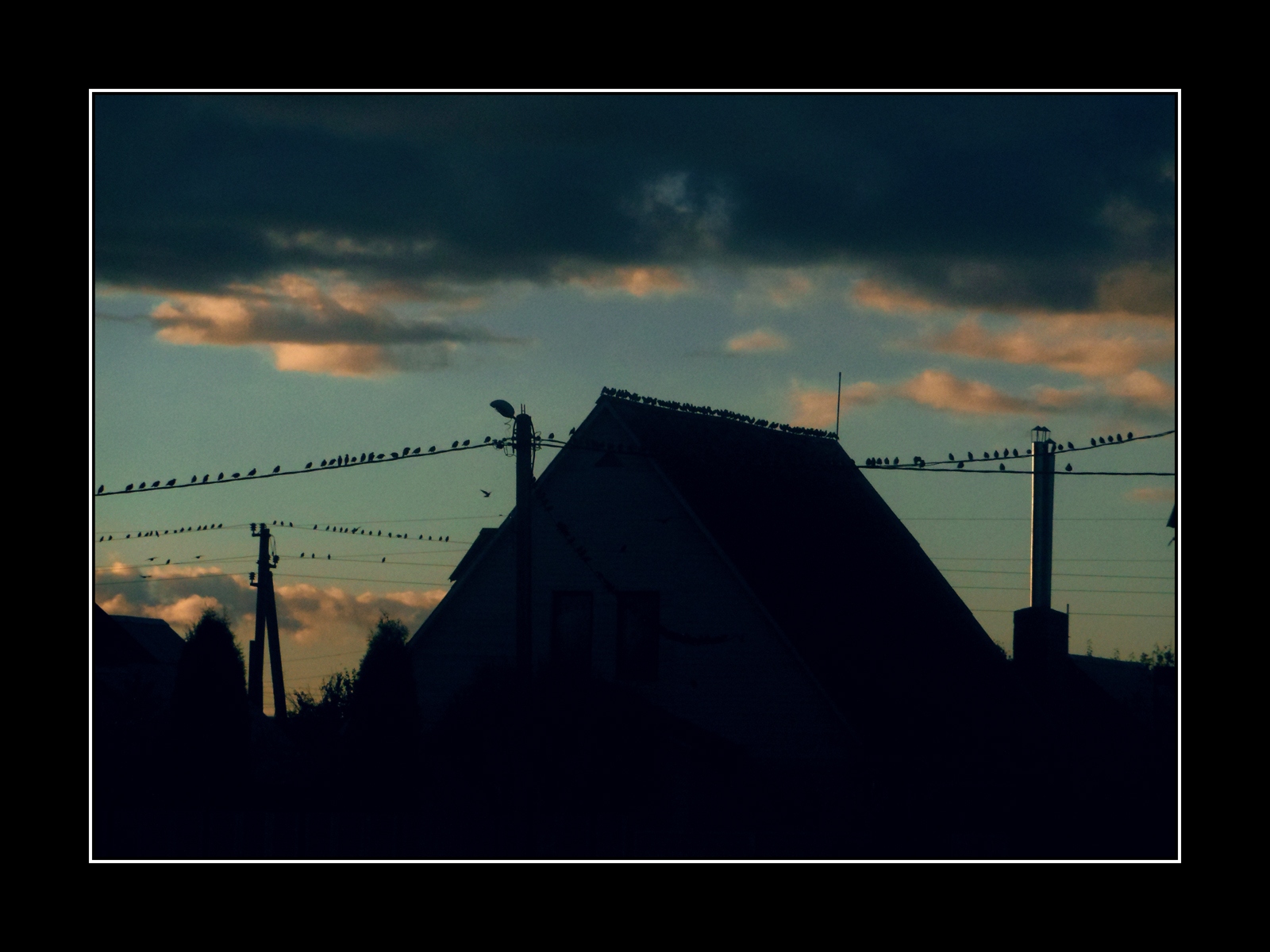 Посиделки на закате | Фотограф Андрей Дегтярев | foto.by фото.бай