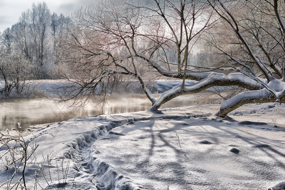 Морозное утро | Фотограф Дмитрий Голуб | foto.by фото.бай