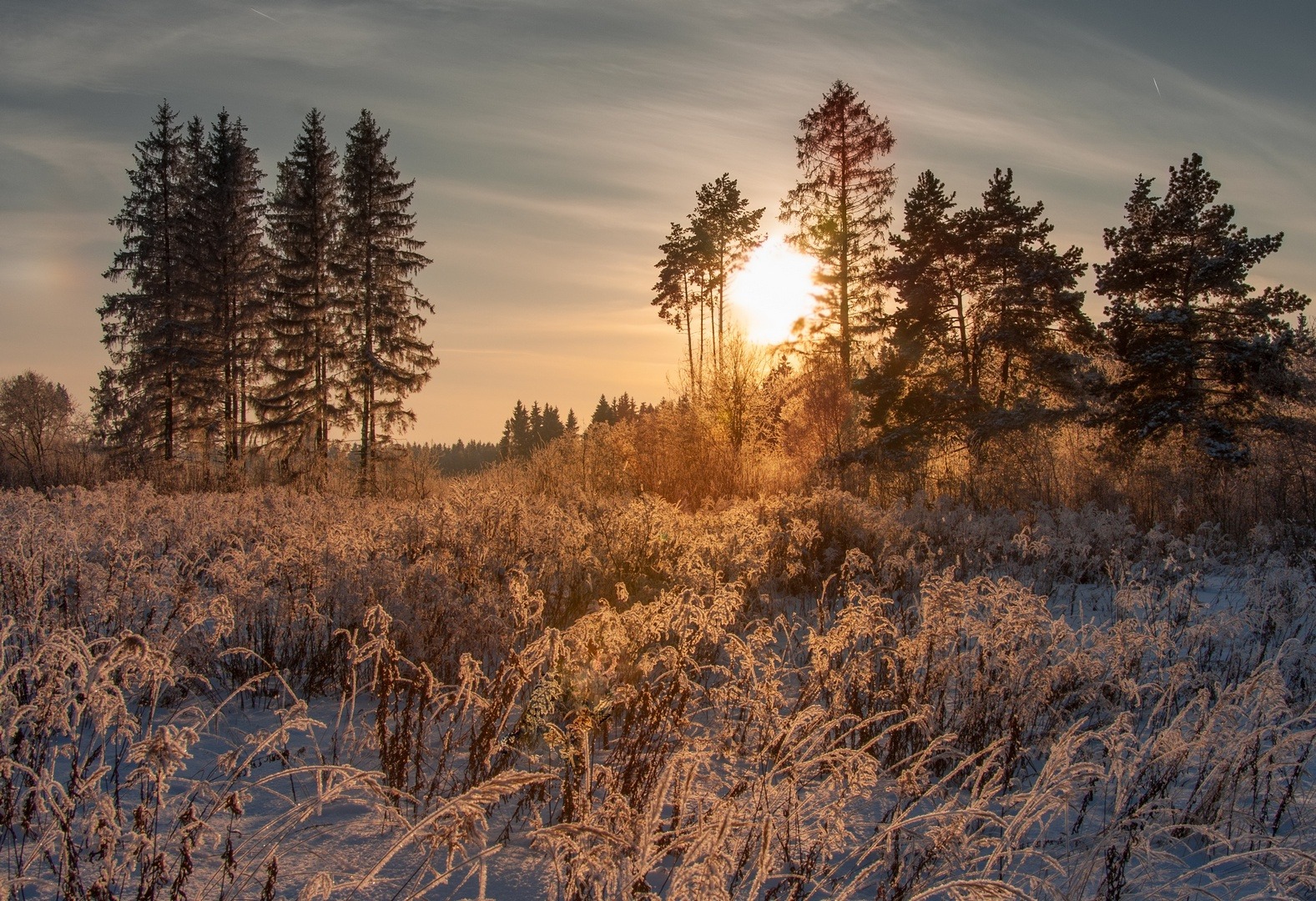 Мороз и Солнце | Фотограф Александр Тхорев | foto.by фото.бай