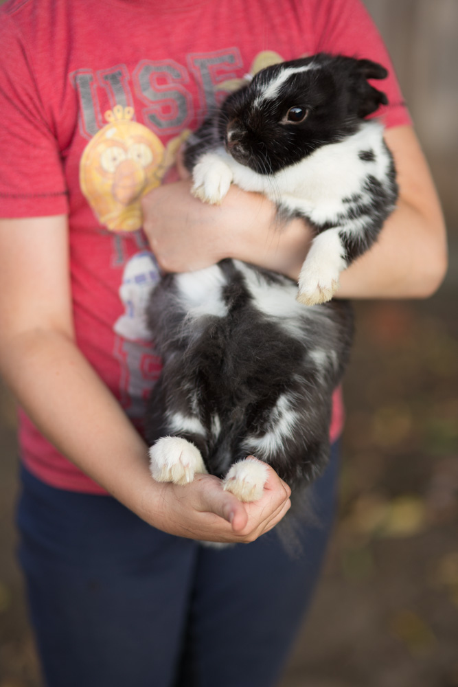Девочка с кроликом | Фотограф Дмитрий Шкудун | foto.by фото.бай