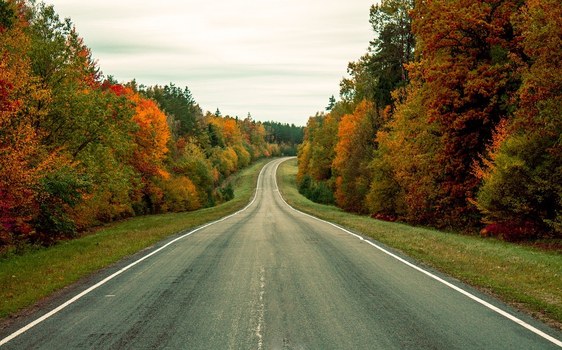 дорога через осень | Фотограф Alexander Slizh | foto.by фото.бай