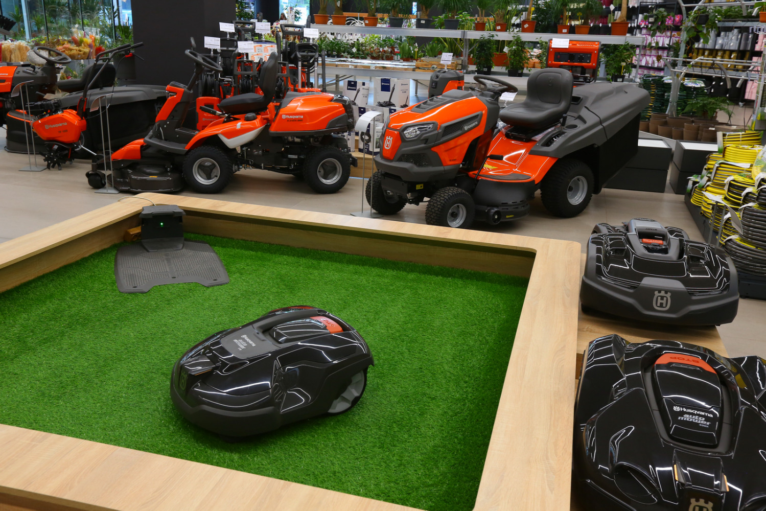 Фотограф Борис Карасик, фотография от 02.08.2020