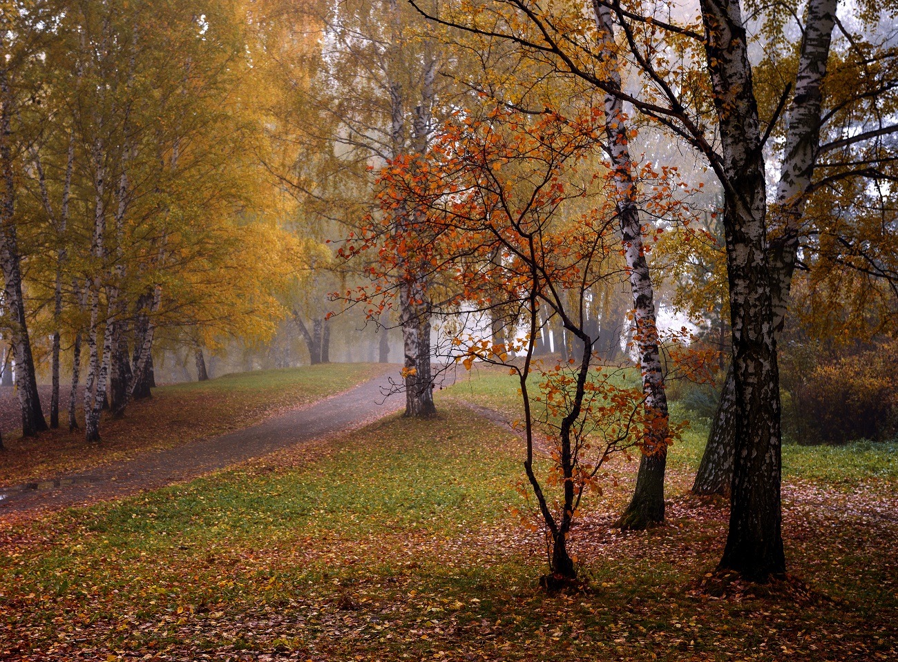 Осенний наряд. | Фотограф Mihail | foto.by фото.бай