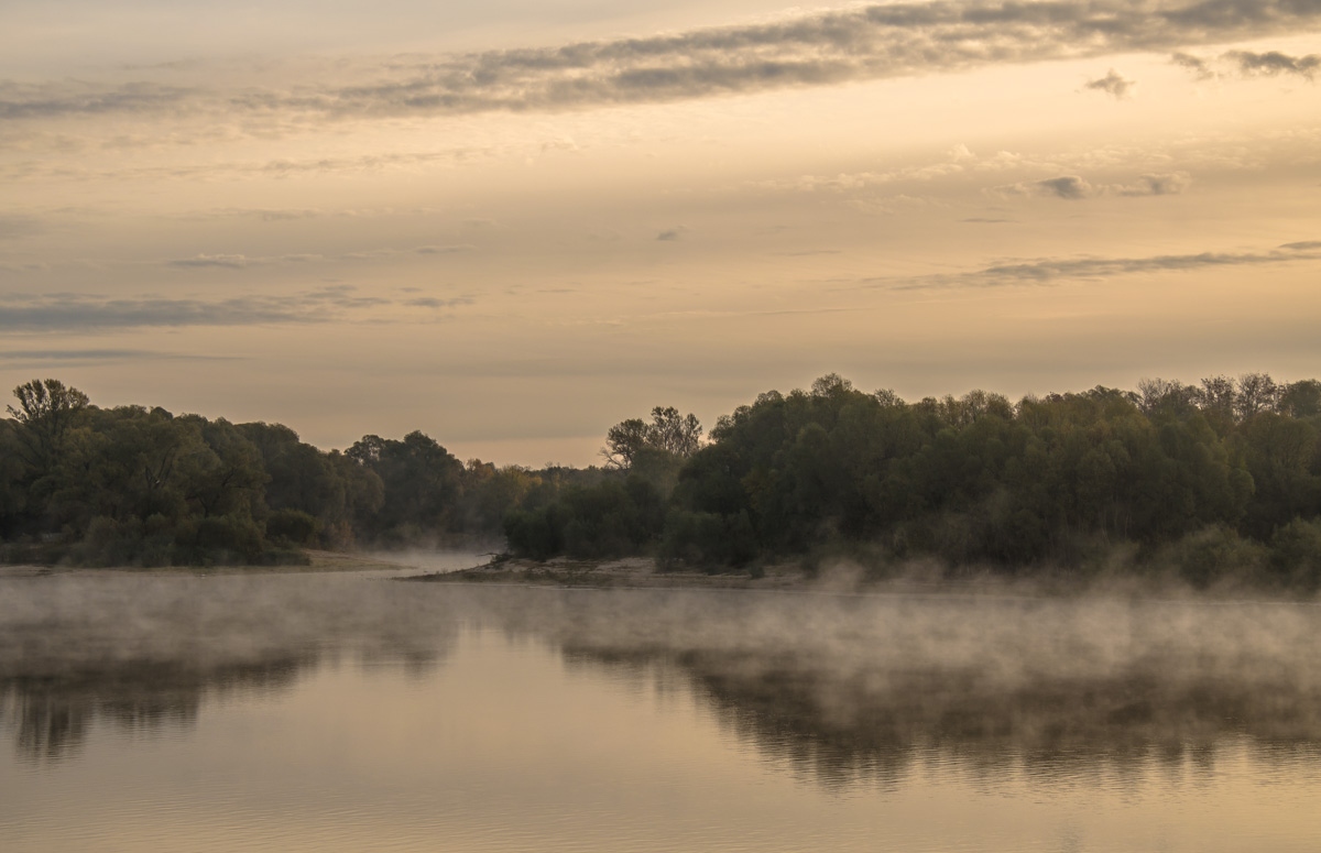 Осенним утром | Фотограф Виктор Позняков | foto.by фото.бай