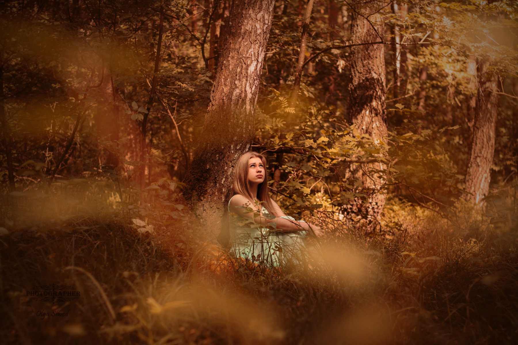 на опушке в лесу... | Фотограф Ольга Швед | foto.by фото.бай