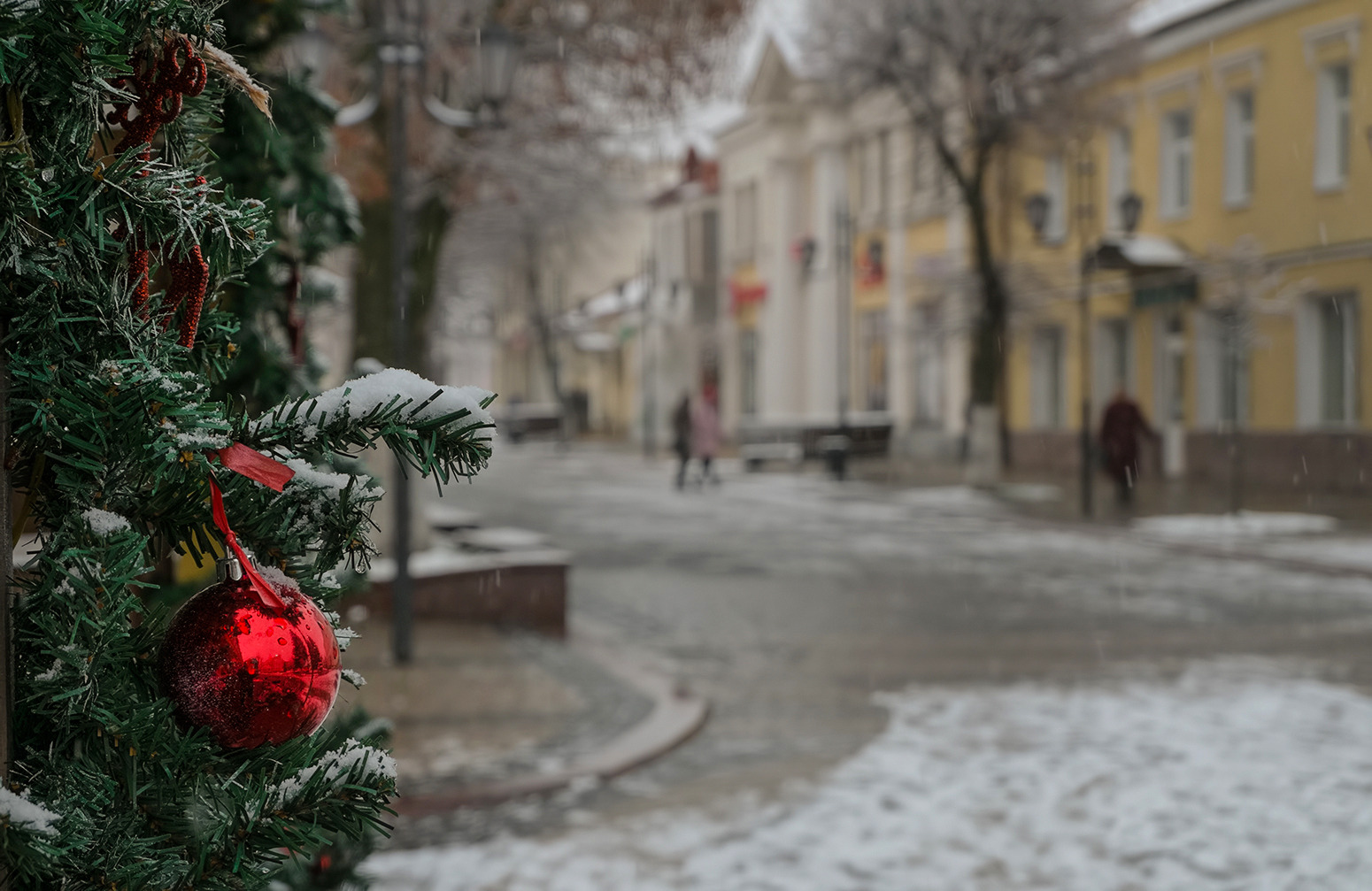 И все таки зима | Фотограф Александр Шатохин | foto.by фото.бай