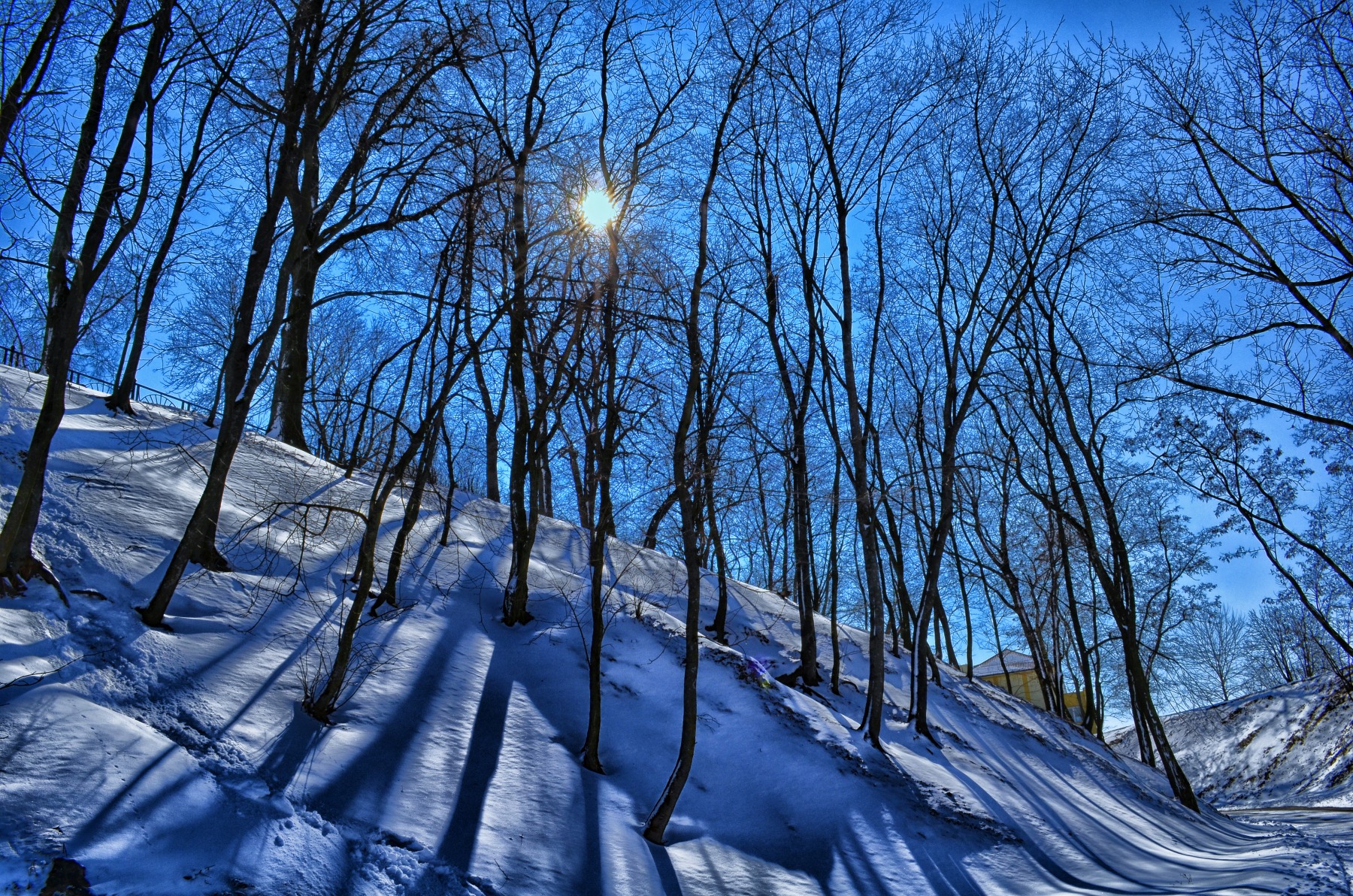 зимние узоры | Фотограф Dmitriy Semchenko | foto.by фото.бай
