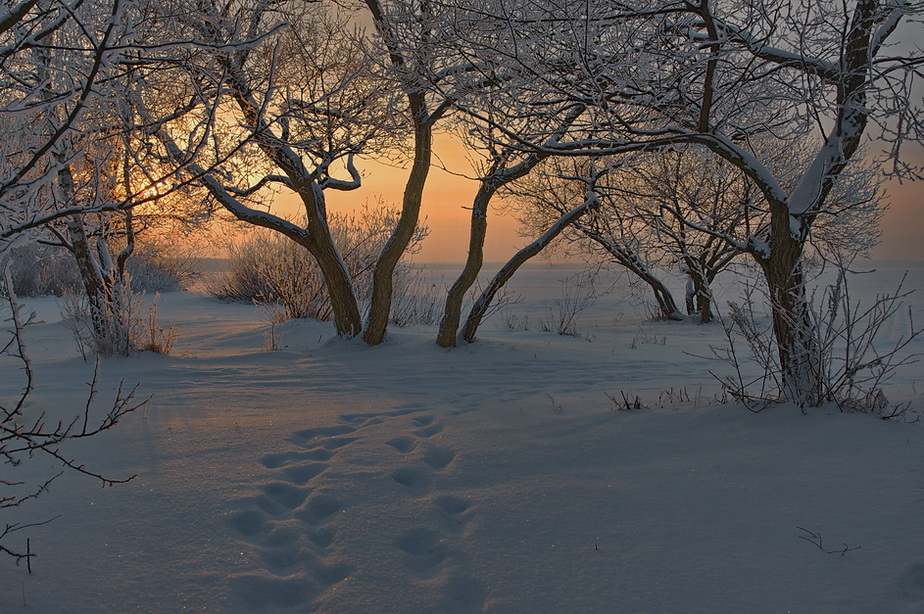 ... звуки тишины ... (репост 2011) | Фотограф Володя Демидчик | foto.by фото.бай