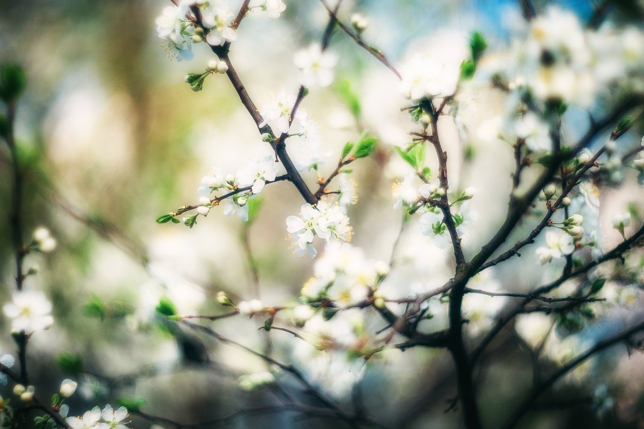 Весна-красна | Фотограф Артур Язубец | foto.by фото.бай