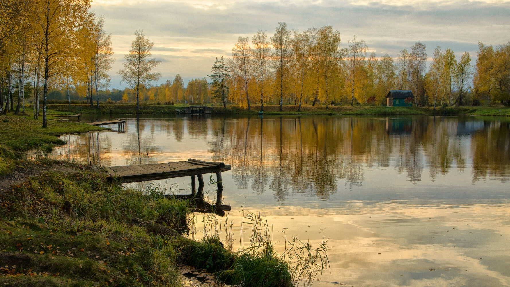 На прудах | foto.by фото.бай