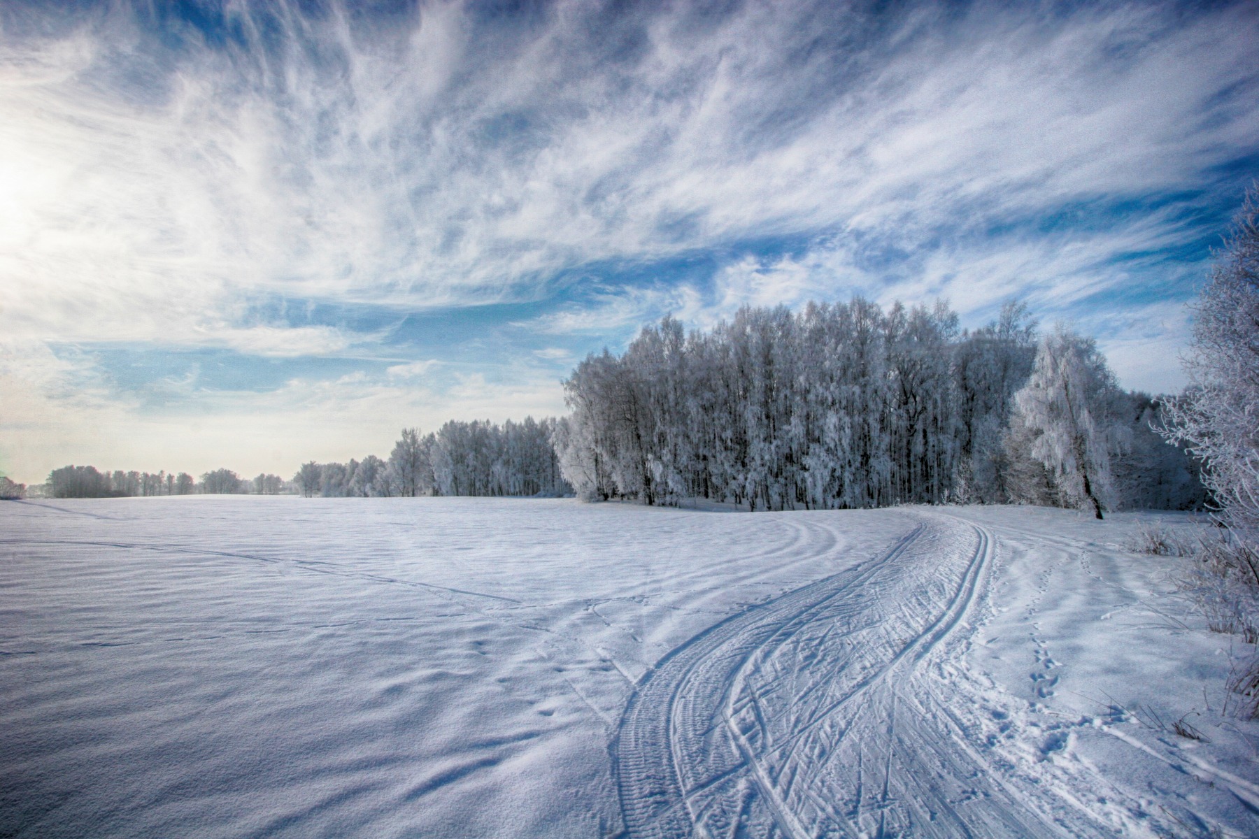 Зимнее утро | Фотограф Александр Гуриков | foto.by фото.бай