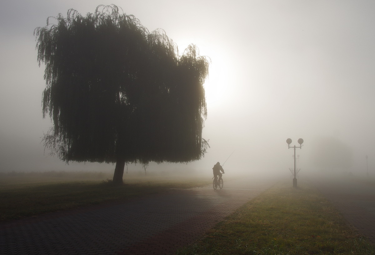 В утреннем тумане | Фотограф Сергей Шляга | foto.by фото.бай