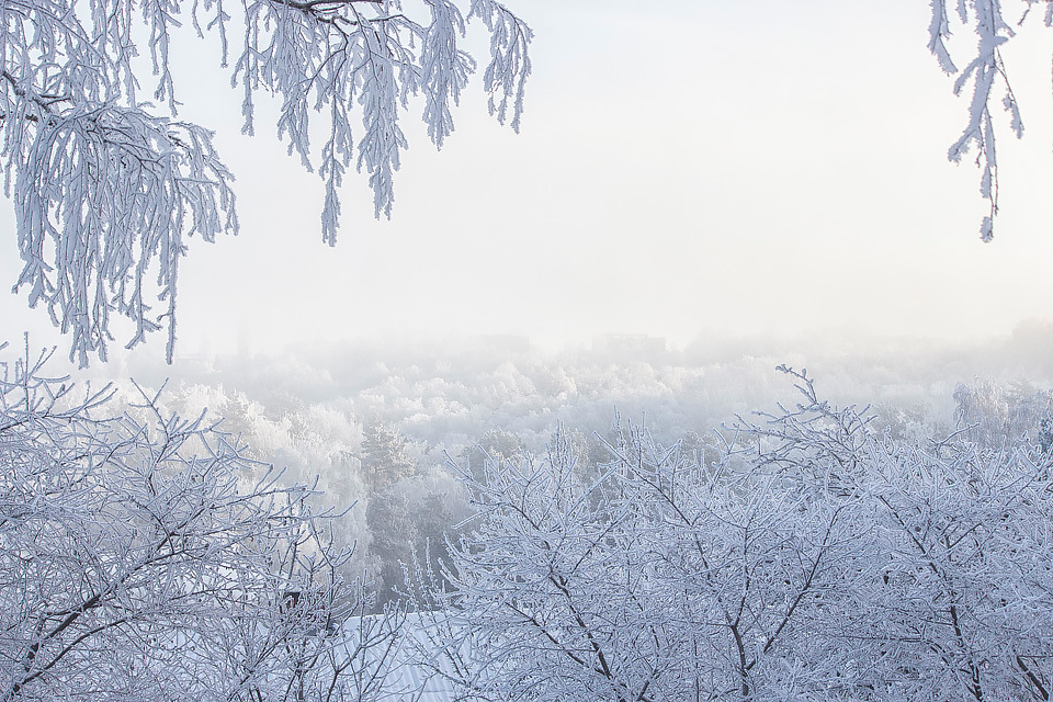 Волшебство зимнего утра | Фотограф Ирина Приходько | foto.by фото.бай