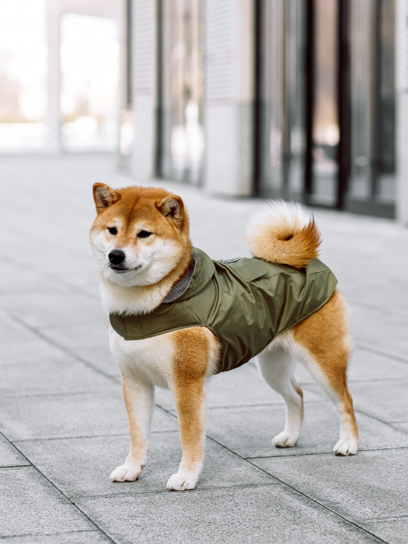 Фотограф Анна Островская, фотография от 14.01.2026