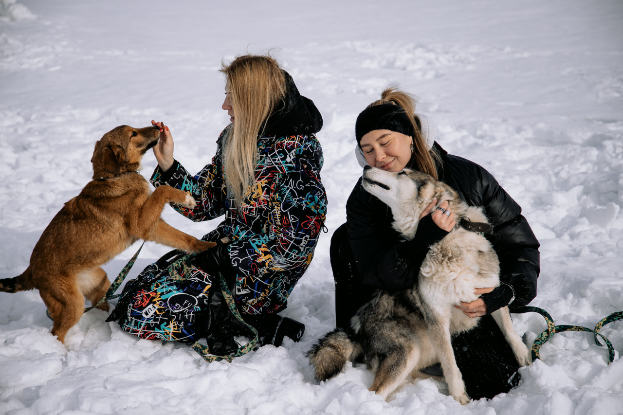 Фотограф в Минске - семейный, свадебный, репортажный фотограф. Фотосъёмка крещения, дня рождения, юбилея, венчания, корпоратива в Минске., фотография от 19.02.2026