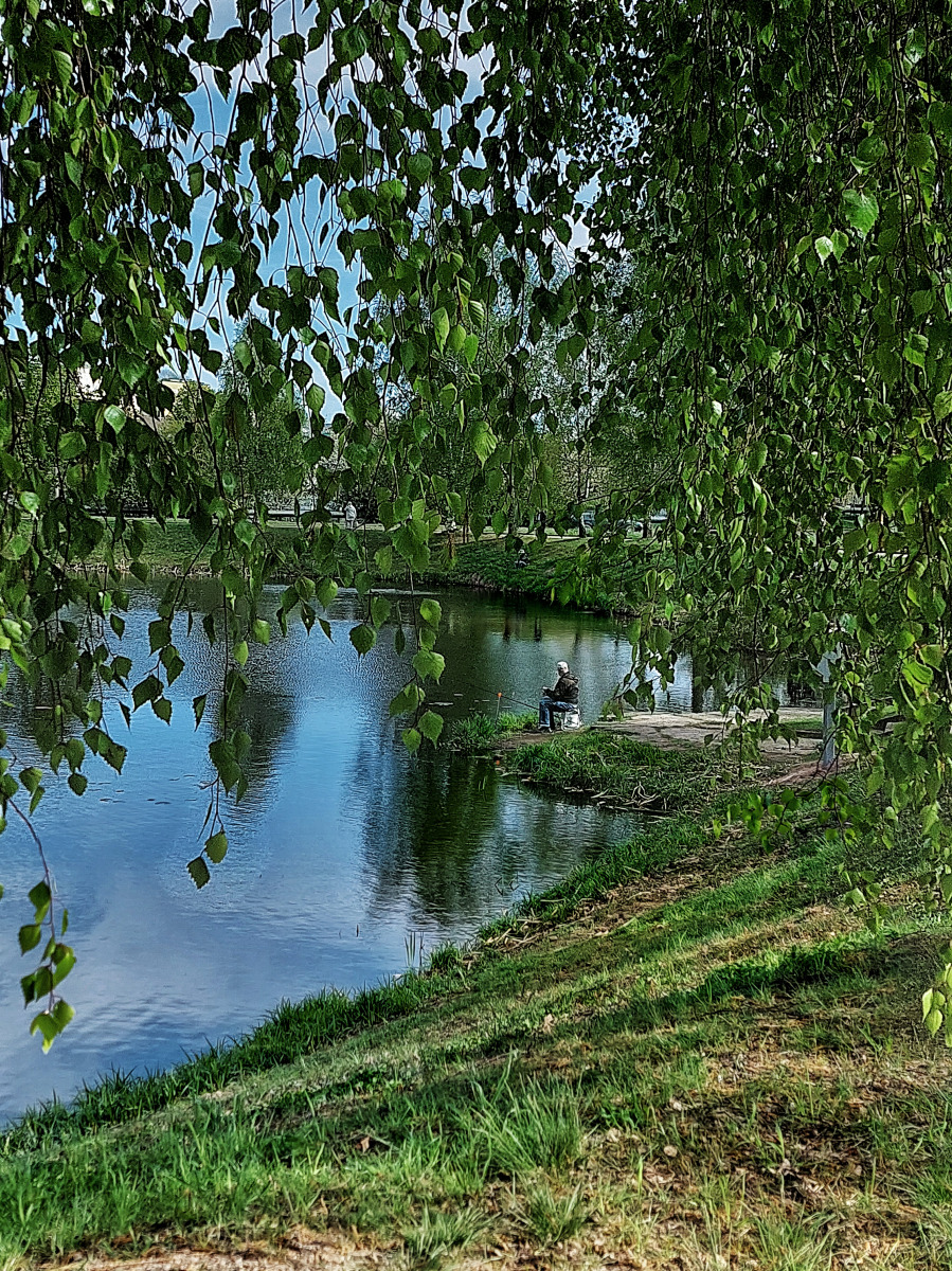 Весенний день | Фотограф Ната Белякова | foto.by фото.бай