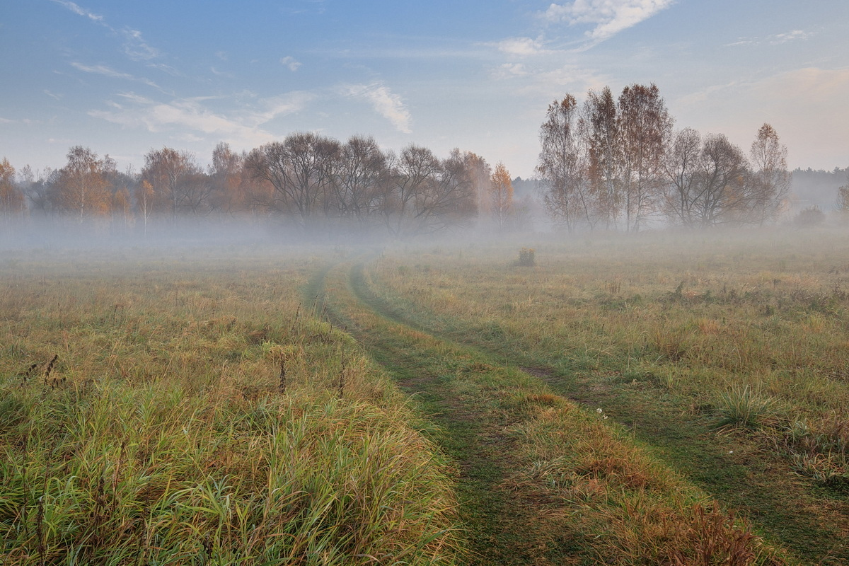 Свислочь, туман | Фотограф Владимир Науменко | foto.by фото.бай