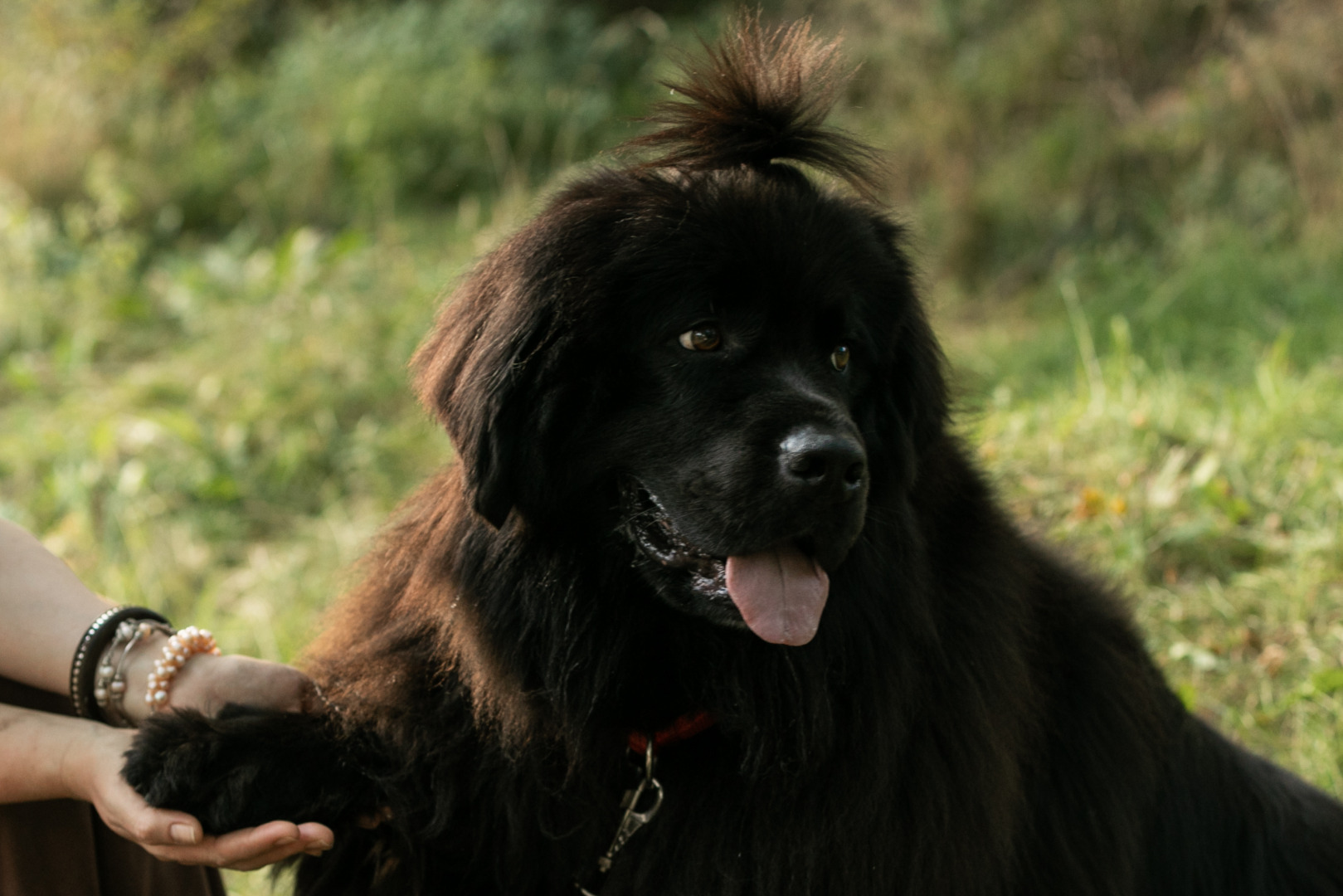 Фотограф для фотосессии, фотография от 14.10.2025