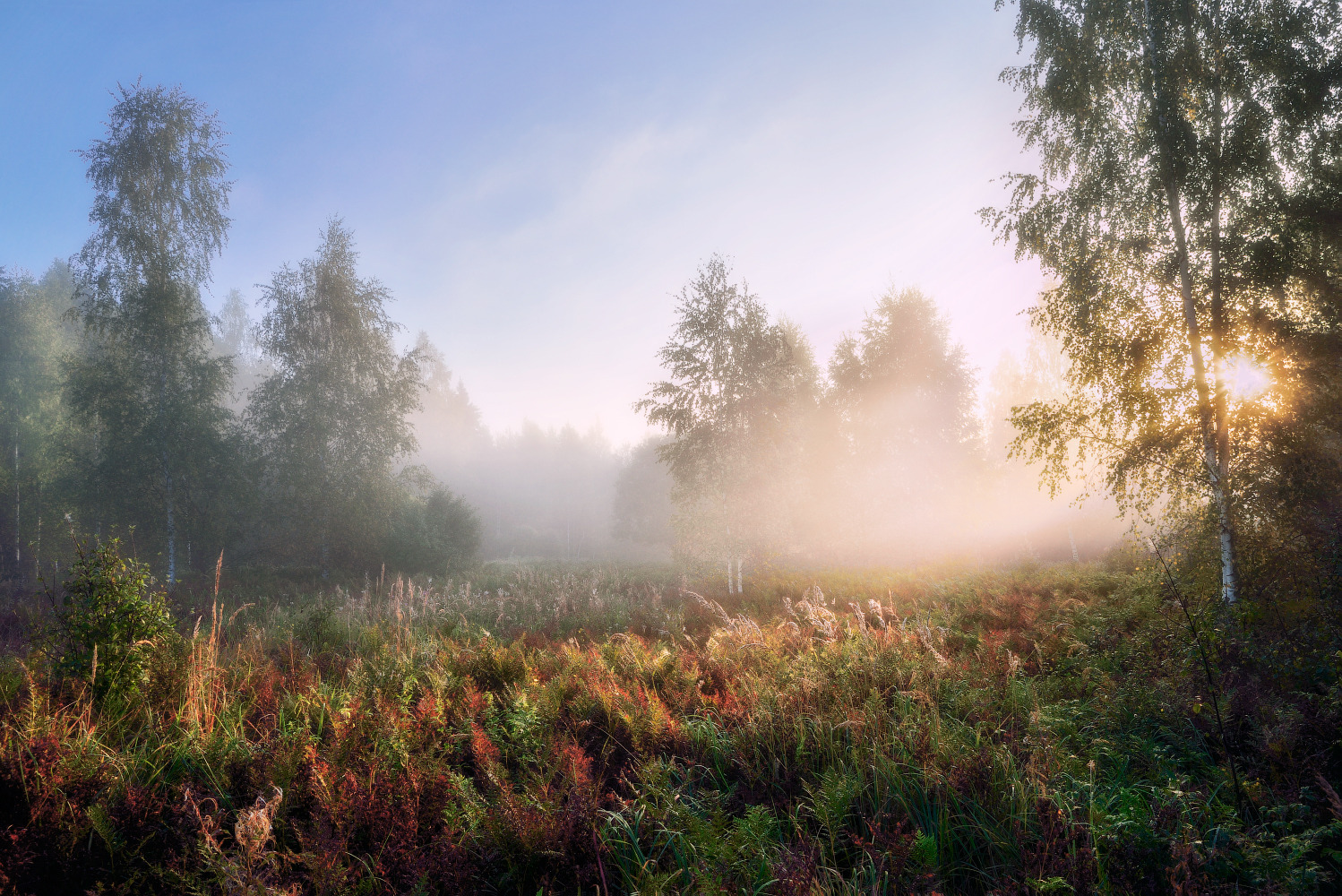 туманное утро сентября | Фотограф Виталий Полуэктов | foto.by фото.бай