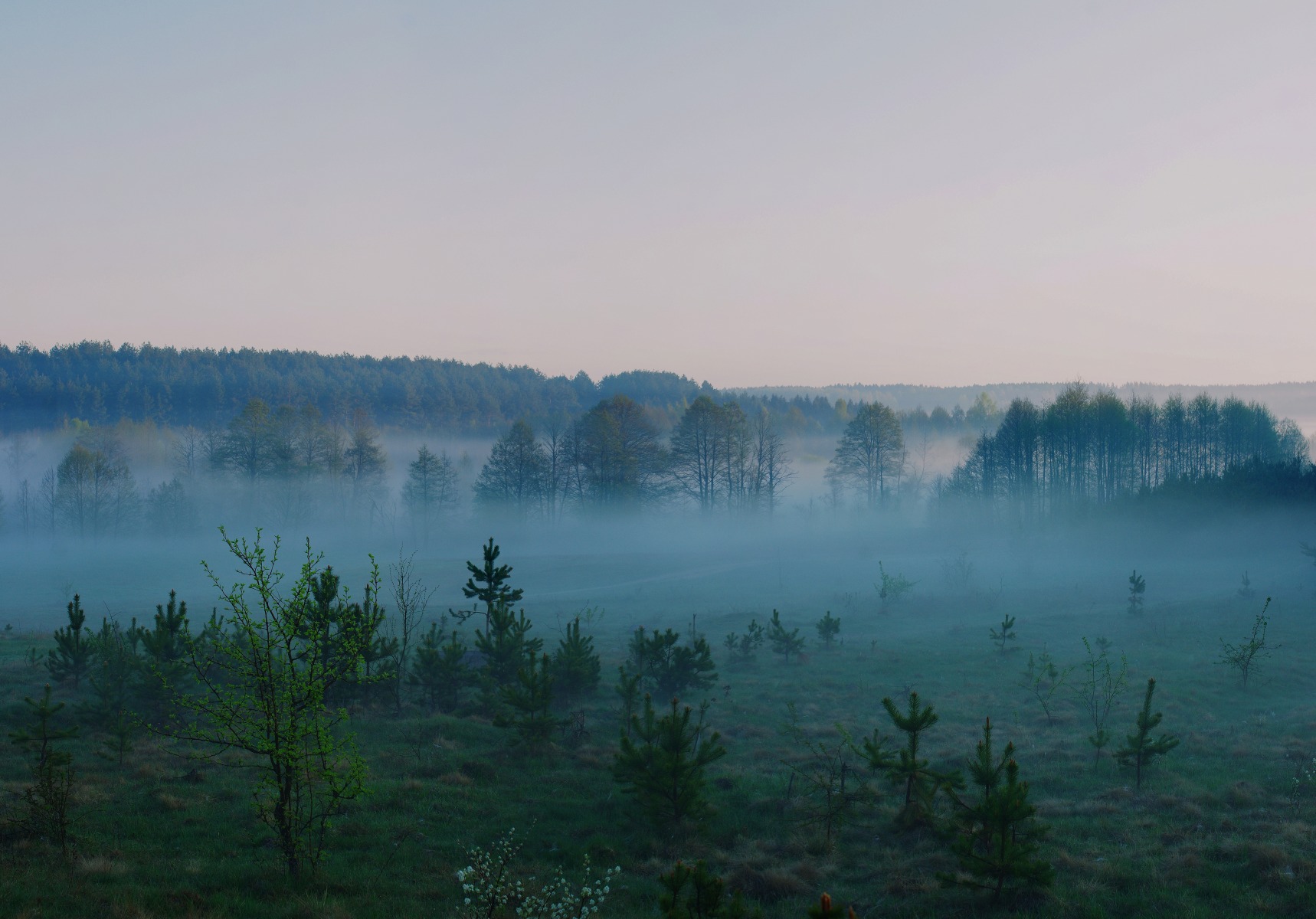 Туман. Восход. | Фотограф Вадзім Краўцоў | foto.by фото.бай