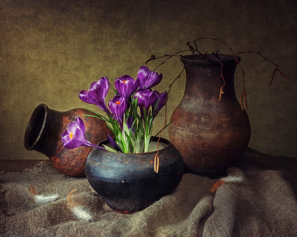 Весна старого чугунка | Фотограф Ирина Приходько | foto.by фото.бай