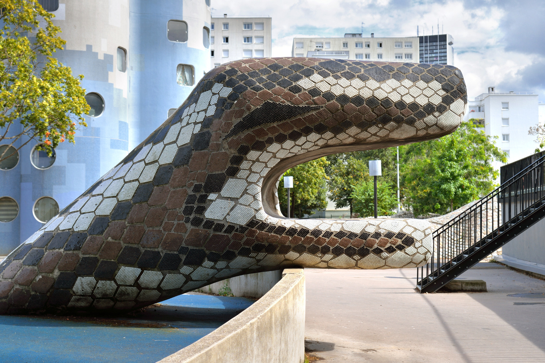 Голова змеи | Фотограф Александр Кузнецов | foto.by фото.бай