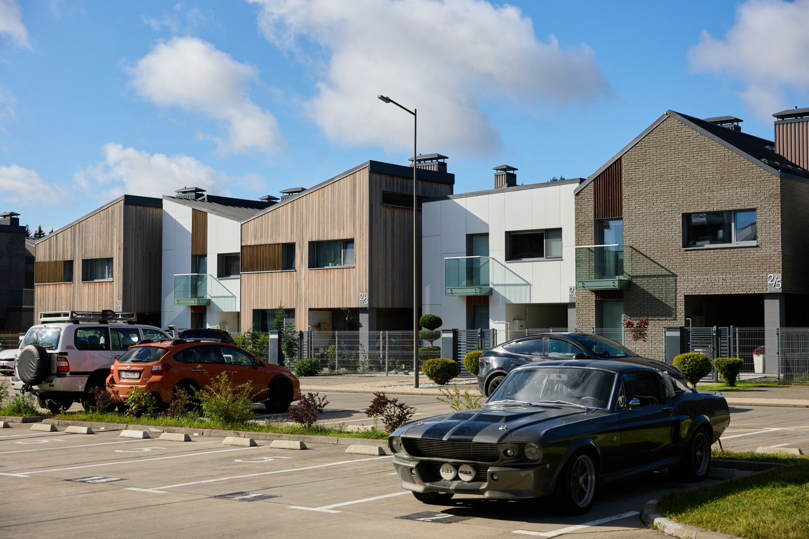 Фотограф Илья и Юлия Ширмановы, фотография от 17.12.2025