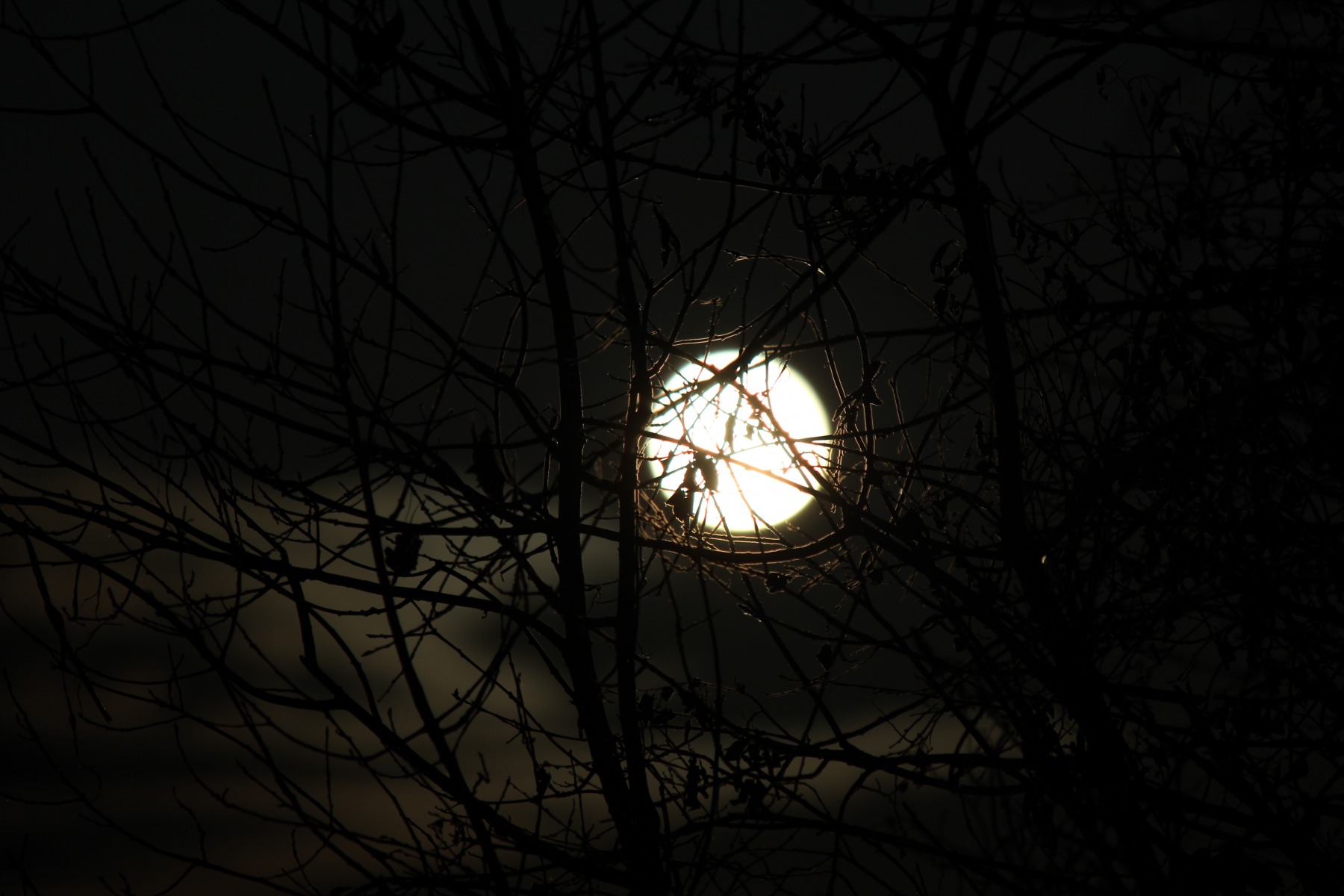 Ночное солнце. | Фотограф Николай Михайлов | foto.by фото.бай