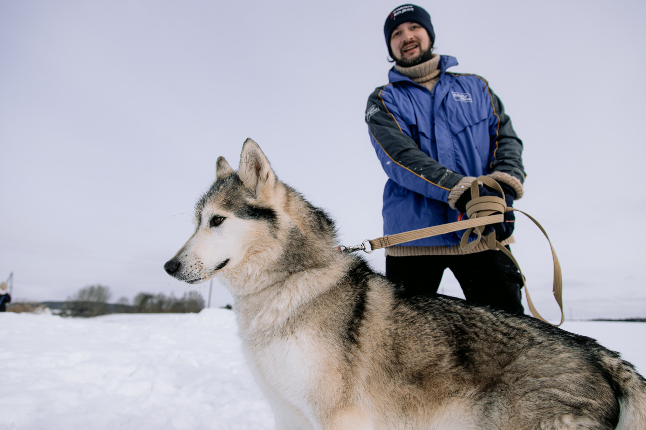 Фотограф в Минске - семейный, свадебный, репортажный фотограф. Фотосъёмка крещения, дня рождения, юбилея, венчания, корпоратива в Минске., фотография от 18.02.2026