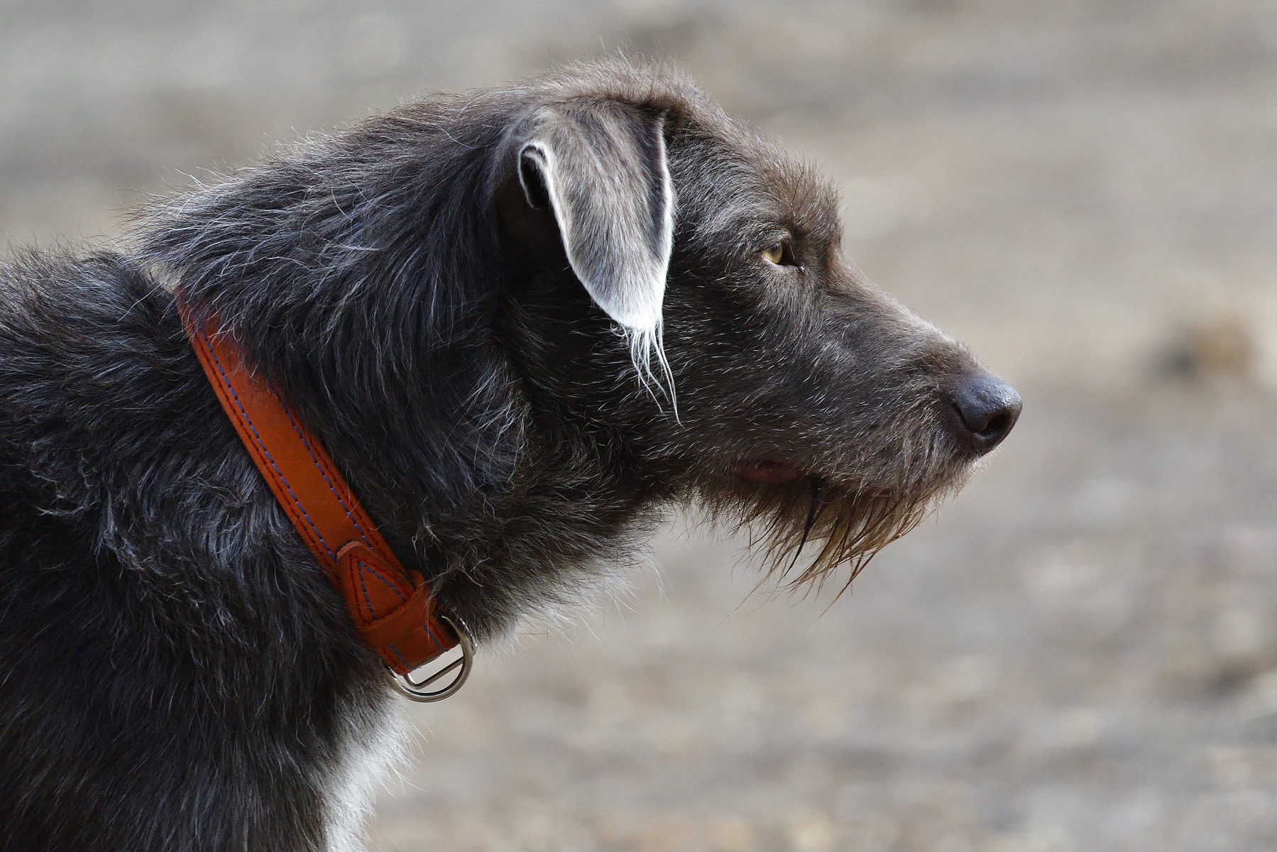 In profile.. | foto.by фото.бай