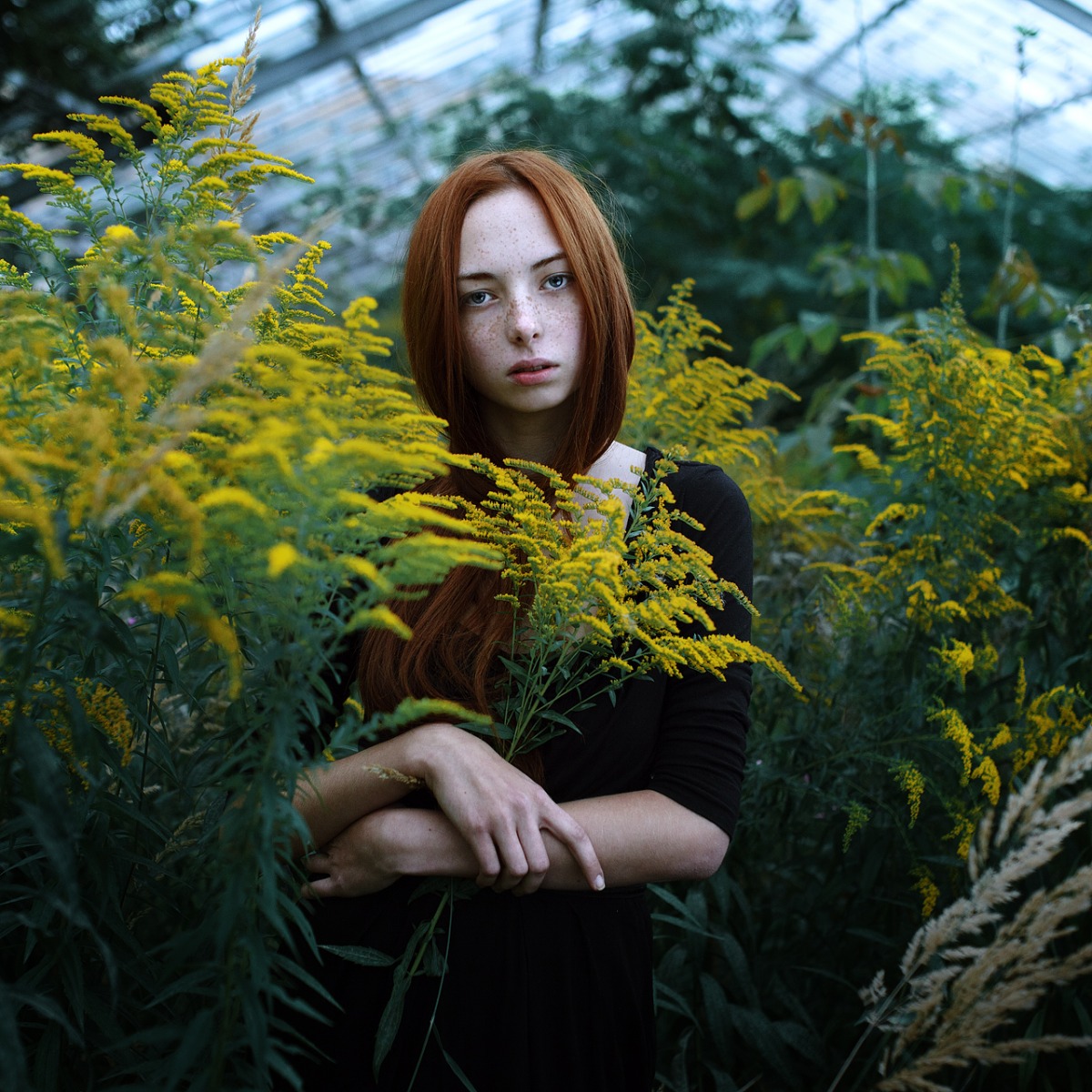 Greenhouse wildflower | Фотограф Belko Nik | foto.by фото.бай