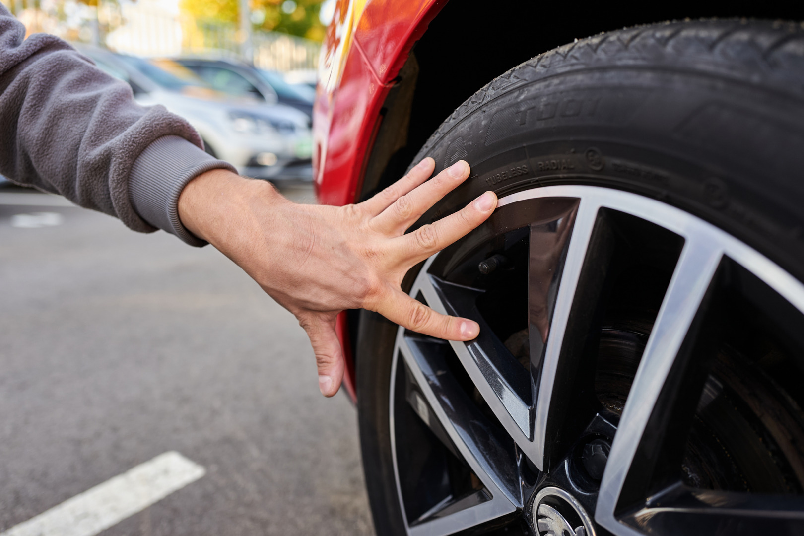 Фотограф Катерина Сиводедова, фотография от 16.04.2026