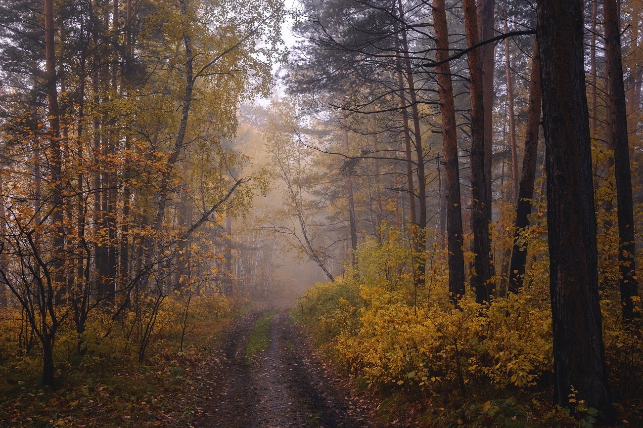 ''В гостях у осени'' | Фотограф Mihail | foto.by фото.бай