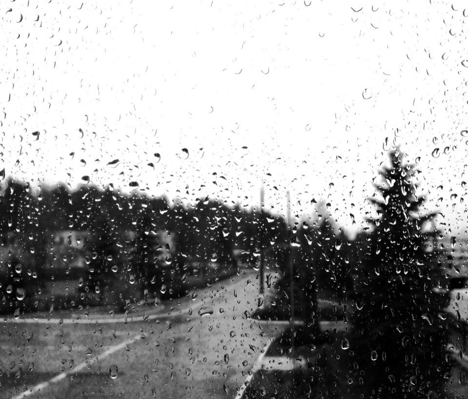 Raining day's | Фотограф Владислав Воробьёв | foto.by фото.бай