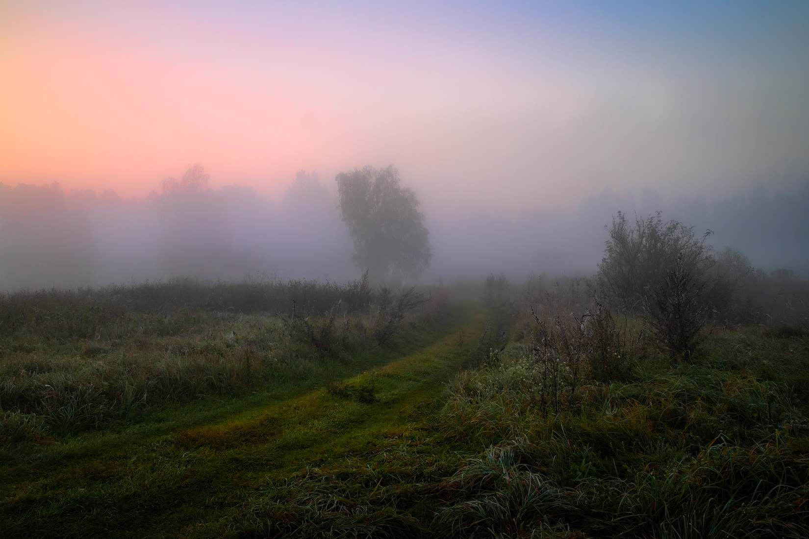 Рассвет и туман | Фотограф Сергей Шабуневич | foto.by фото.бай