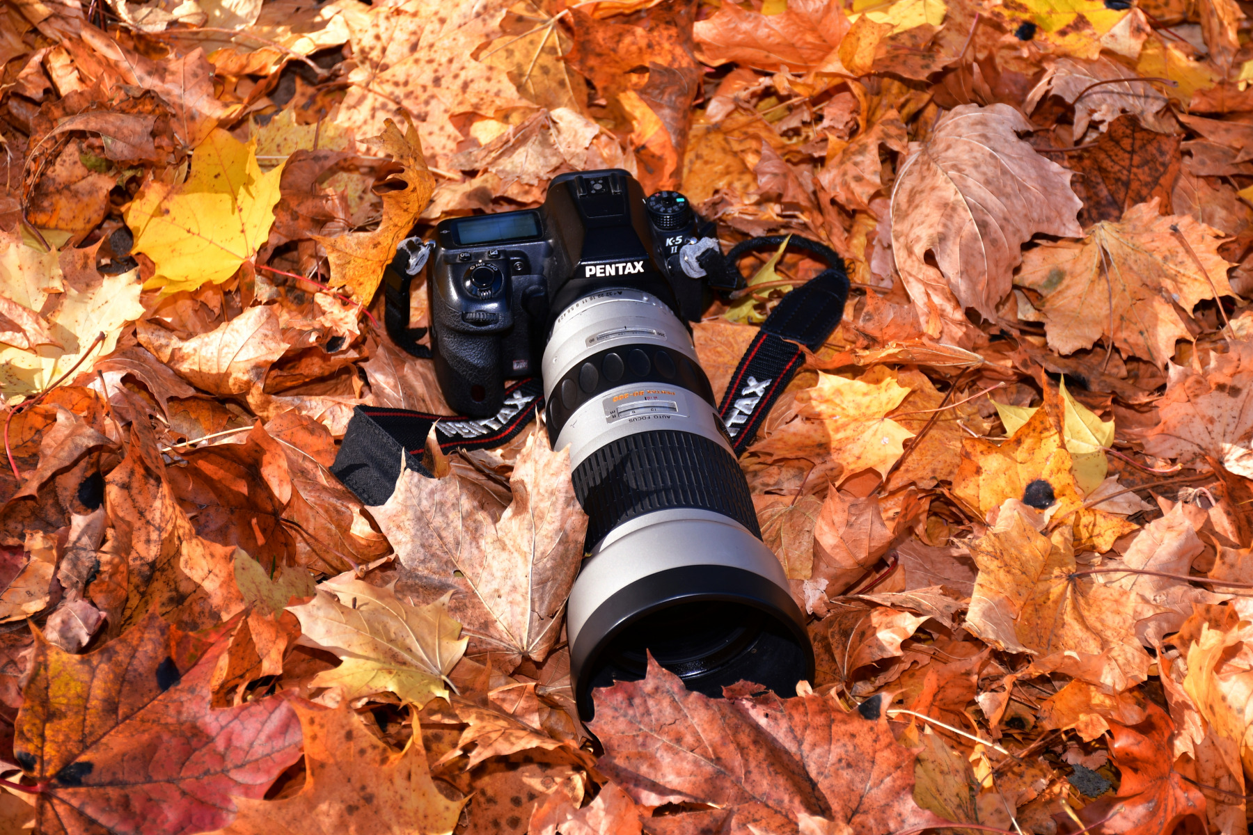 Осень.. | Фотограф Ihar Karneichuk | foto.by фото.бай