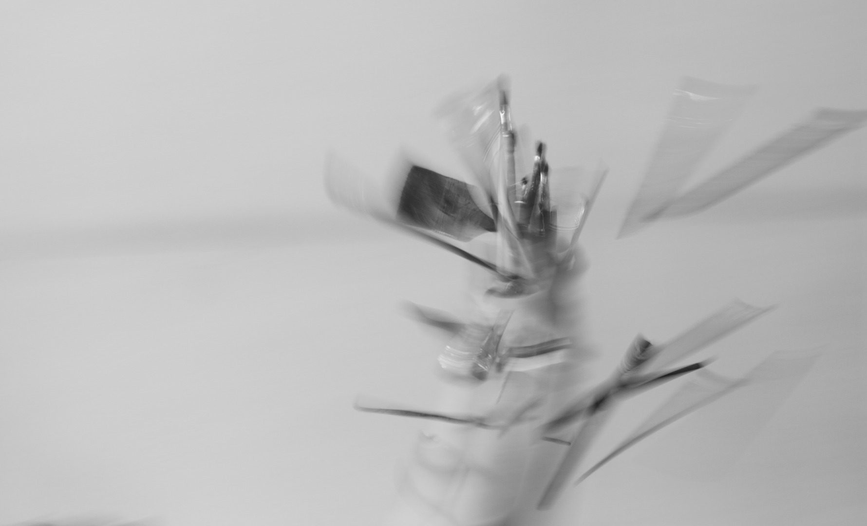 Фотограф Павел Есипенко, фотография от 02.01.2026