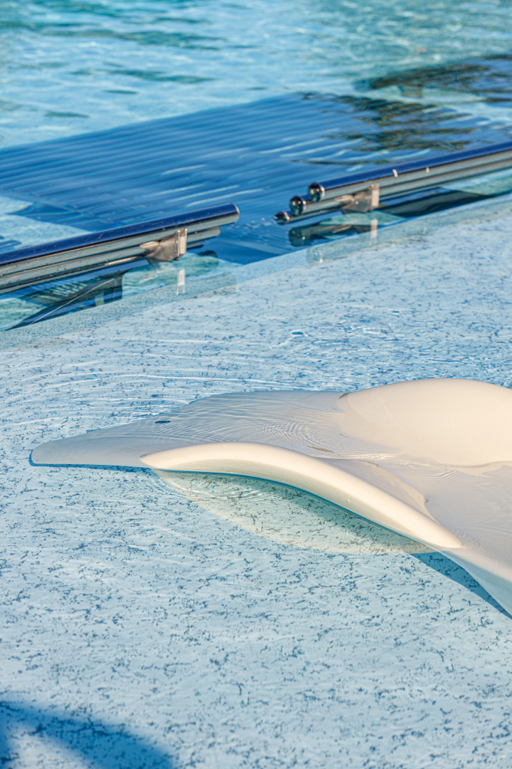 Андрей Кот - рекламный фотограф, фотограф интерьеров, фотограф архитектуры в городе Минск, фотография от 14.12.2025