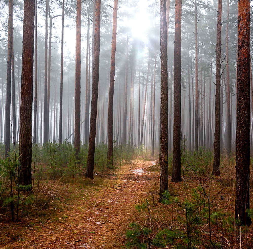 *** | Фотограф Наталья Ильясова | foto.by фото.бай