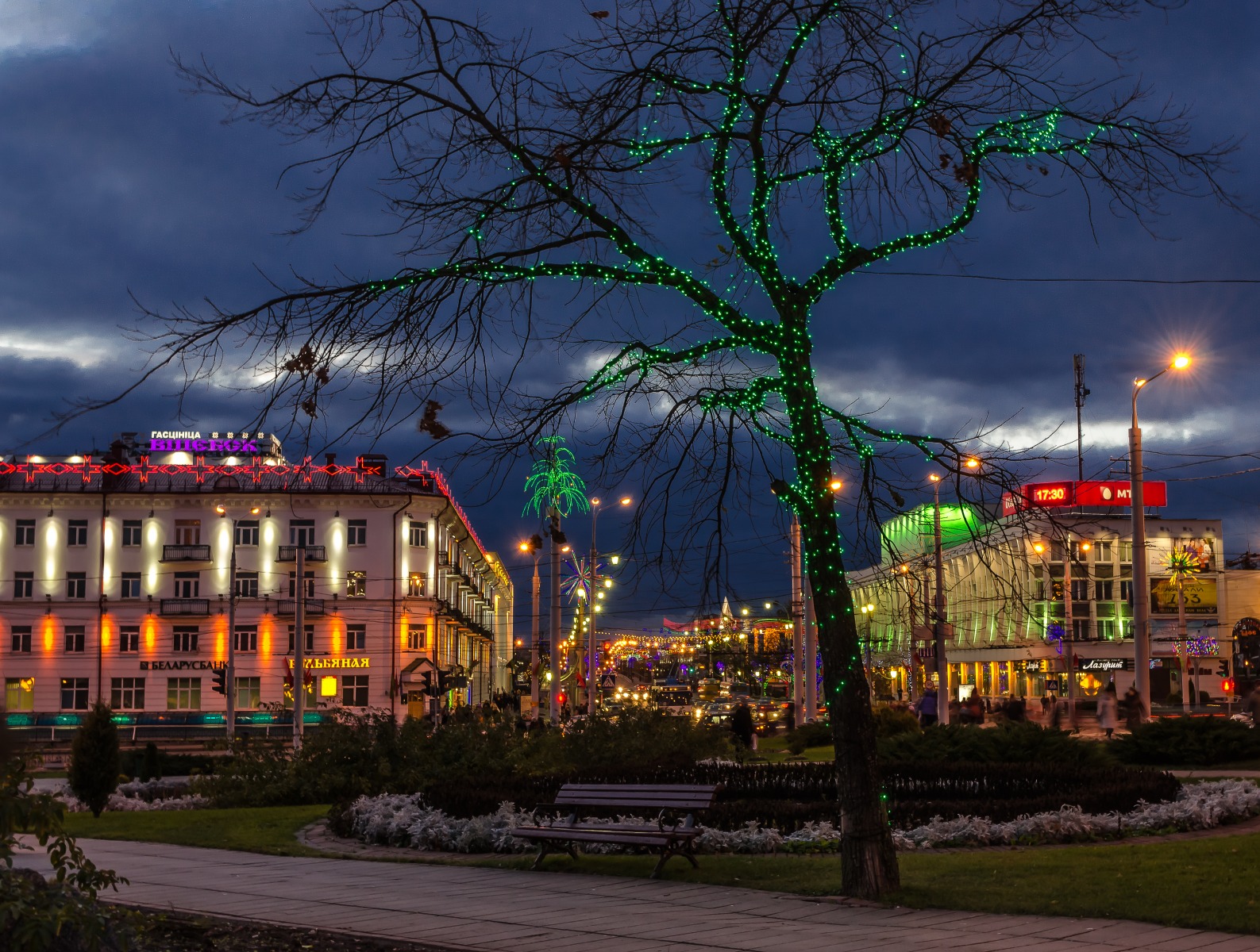 Городской пейзаж с зеленым деревом | Фотограф Зміцер Пахоменка | foto.by фото.бай