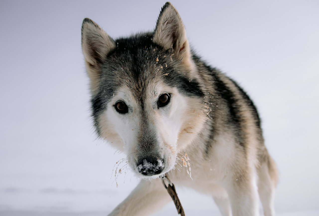 Фотограф в Минске - семейный, свадебный, репортажный фотограф. Фотосъёмка крещения, дня рождения, юбилея, венчания, корпоратива в Минске., фотография от 18.02.2026