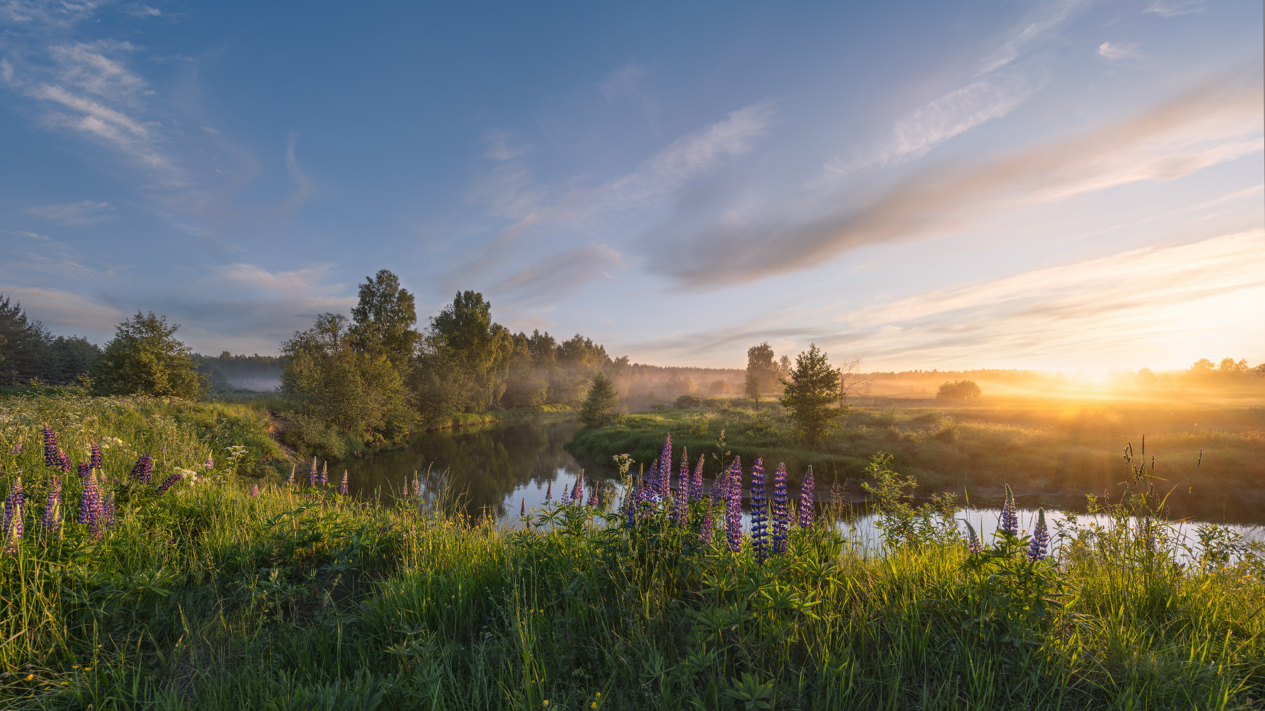 летний вечер | foto.by фото.бай